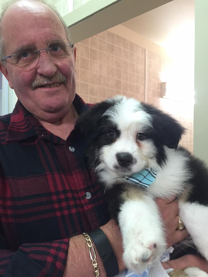 David LeBlanc - Owner at 4 Paws