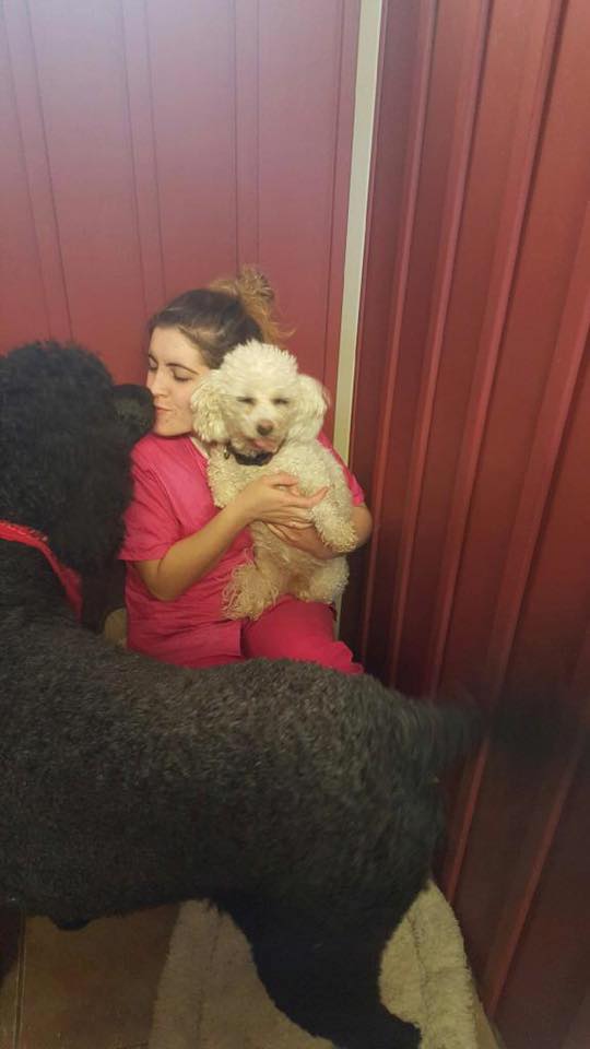 4 Paws Care Attendants