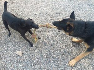 Daily Activities Daily Activities