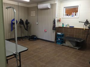 #1 Grooming Facilities