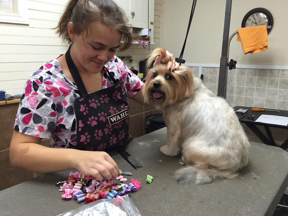 Dog Grooming & Pet Salon in Moncton New Brunswick