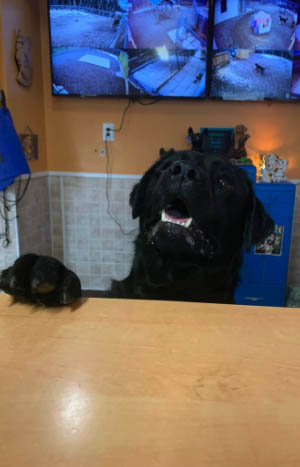 Room for one with room service please!