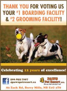 4 Paws Voted #1 Boarding Facility in Greater Moncton